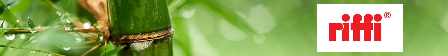 Riffi